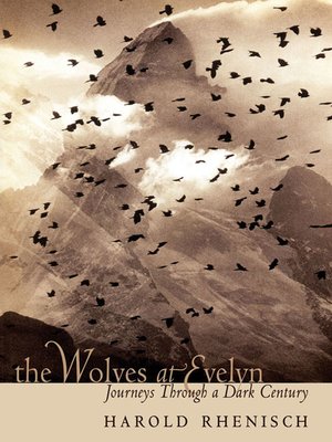 cover image of The Wolves at Evelyn